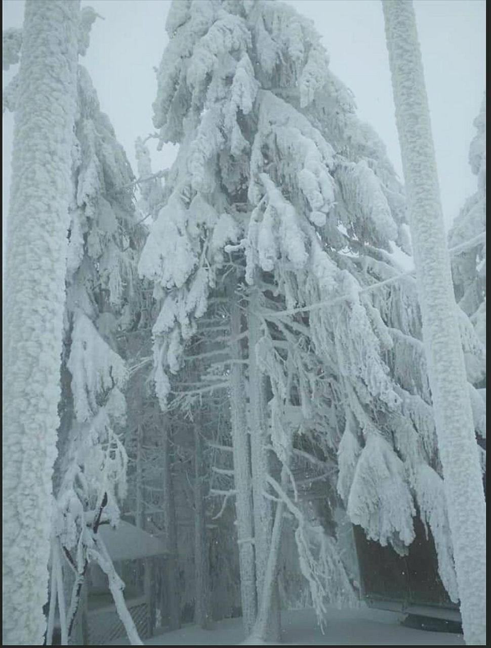 "Різьбярська Садиба" Slavske Exterior photo