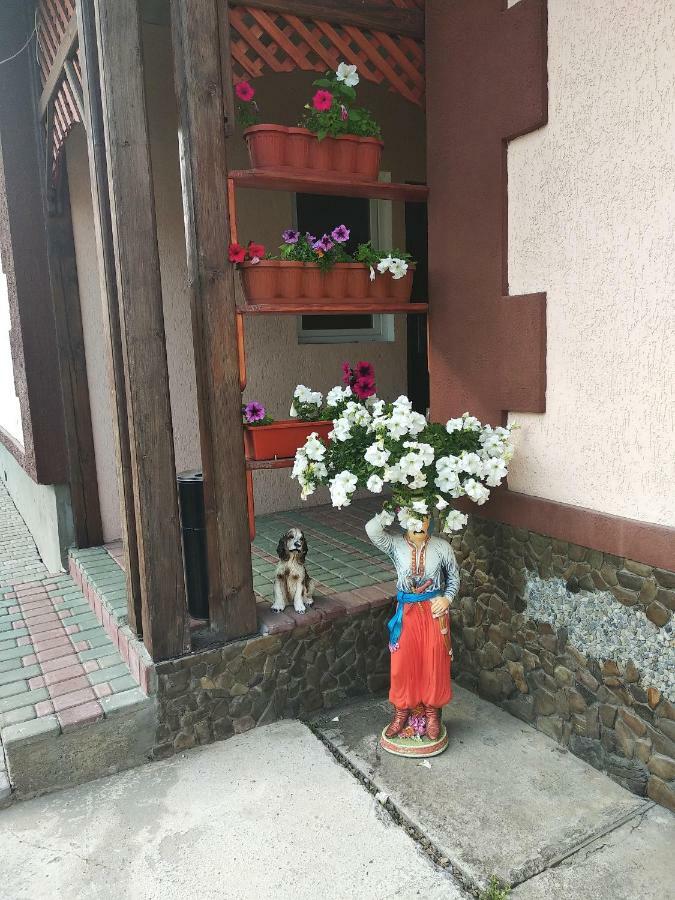 "Різьбярська Садиба" Slavske Exterior photo